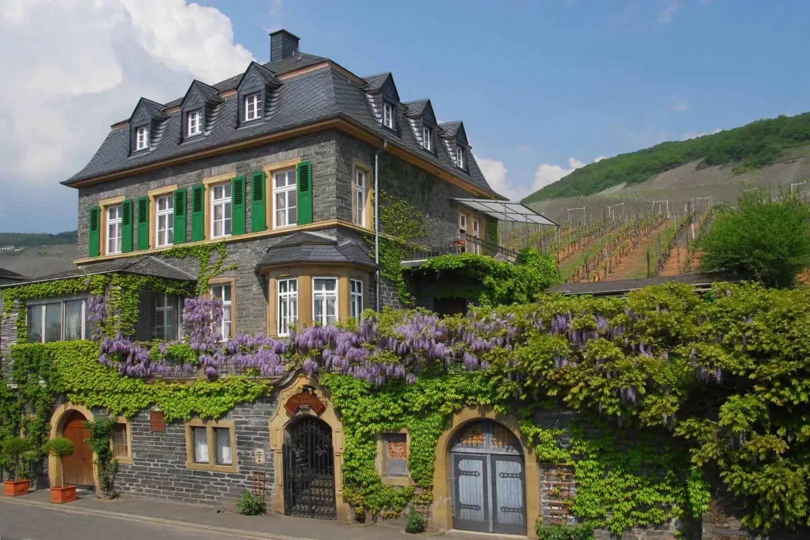 Weingut Dr. Loosen