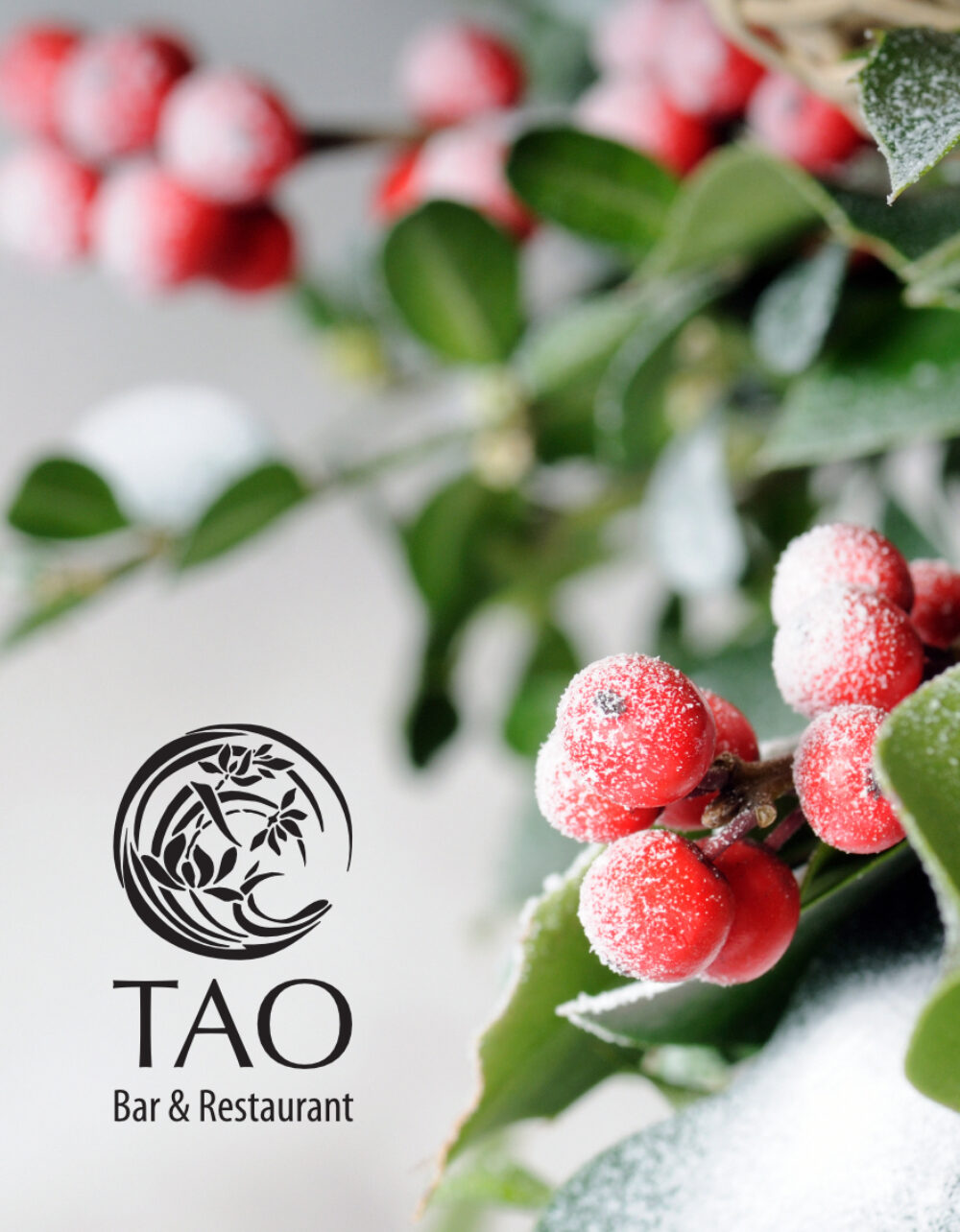 Weihnachten im TAO Logo